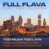 Download track Too Much Too Late (Nigel Lowis London Mix)