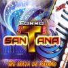 Download track Fofoqueira