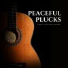 Download track Calm Guitar Music