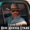 Download track New Mexico Stars