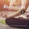 Download track Meditation In A Completely Silent Room, Pt. 12