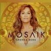 Download track Mosaik-Hitmix