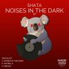 Download track Noises In'the Dark (Original Mix)