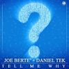 Download track Tell Me Why? (Extented Mix)