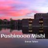 Download track Pashimoon Mishi