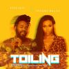 Download track Toiling