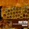 Download track Trio-03