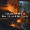 Download track Gentle Lull Of Night