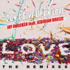 Download track Don't Give Up On Love (Maraud3r Mix)