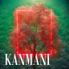 Download track Kanmani