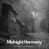 Download track Midnight Harmony