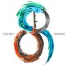 Download track Toshiro Pandino