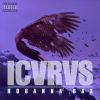 Download track ICVRVS