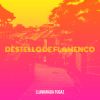 Download track Vientos De Democracia