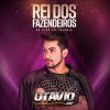 Download track Rei Dos Fazendeiros: Ao Vivo Em Goiânia