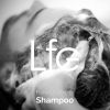 Download track Shampoo