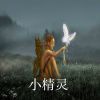 Download track 小精灵