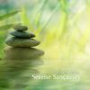 Download track Soothing Spa Music