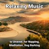 Download track Lovely Meditation Music For Dogs