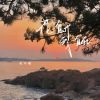 Download track 花一直开我一直在 (伴奏)