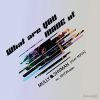 Download track What Are You Made Of (Myon Return To 95 Extended Mix)