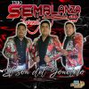 Download track Zapateados