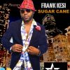 Download track Sugar Cane