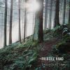 Download track I. Light Through The Trees