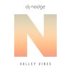 Download track Valley Vibes