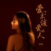 Download track 爱了不该爱的人 (伴奏)