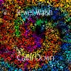 Download track Calm Down (Radio Edit)