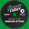 Download track Sparkling Attitude (Extended Mix)