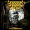 Download track Beyond The Dark Veil, Pt. III- Beneath The Boughs