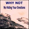 Download track No Hiding Your Emotion