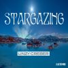 Download track Stargazing (Radio Edit)