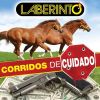 Download track Tierra Sin Nombre
