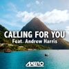 Download track Calling For You