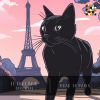 Download track Le Coeur Du Paris