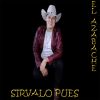 Download track SIRVANLO PUES