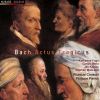 Download track Gleichwie Der Regen Und Schnee Vom Himmel Fällt, BWV 18: Recitativo