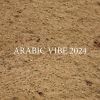 Download track Arabic Vibe 2024 (Slowed)