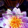 Download track Galaxy Of The Mindful