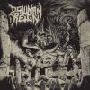 Download track Garden Of Decay