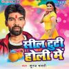 Download track Holi Khele Bhole Nath