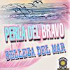 Download track Chica De La Playa