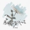 Download track 感谢你做了我的花