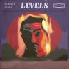 Download track Levels Intro