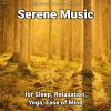 Download track Serene Music To Make You Sleep Instantly