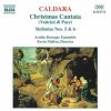 Download track Sinfonia No. 5 'San Pietro In Cesarea': I. Andante