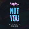 Download track Not You (Roger Sanchez Dub)